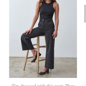 Everlane “The Wide Leg Crop” Pants